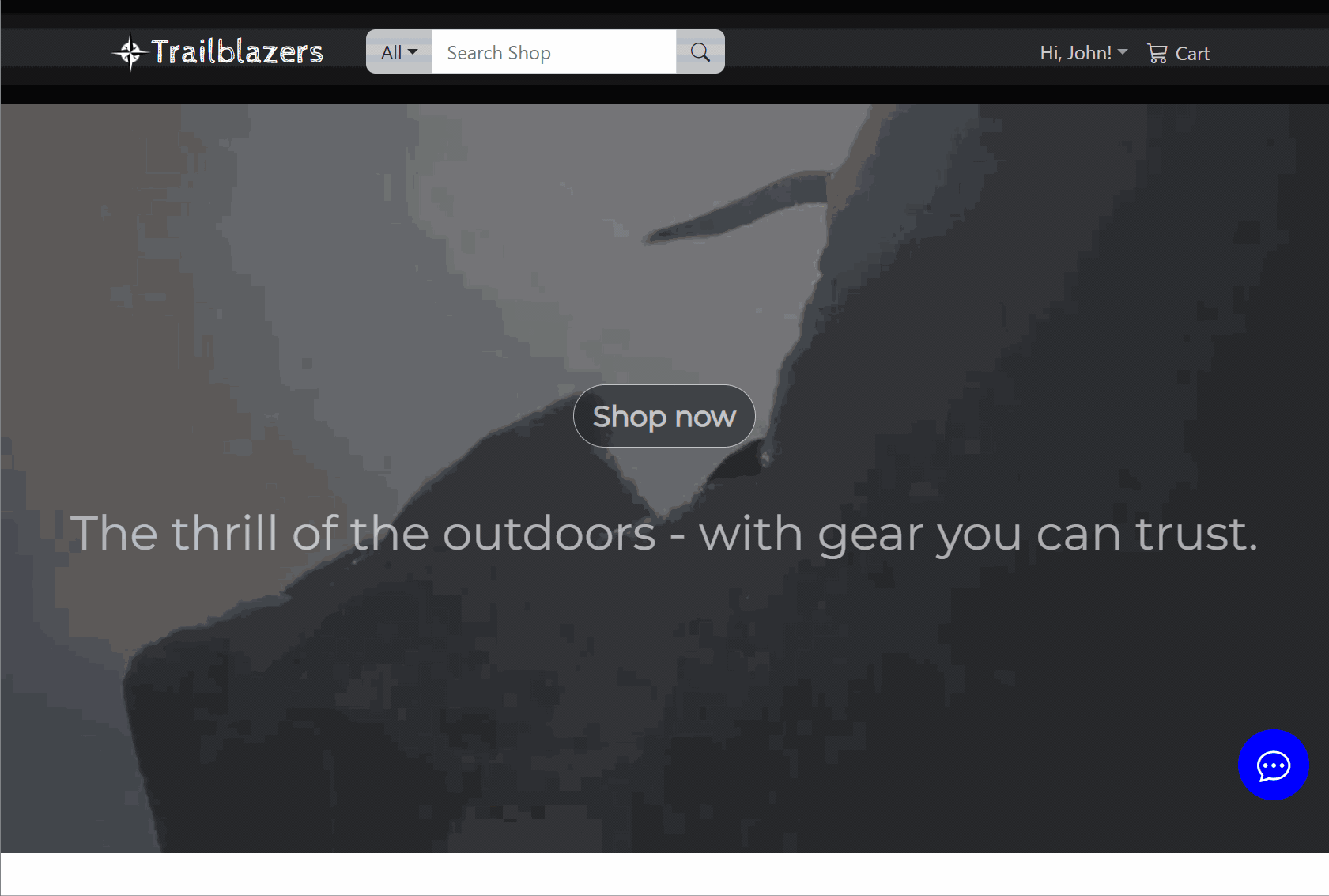 screencast gif of e-commerce web app